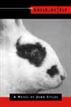 The Insolent Boy