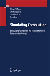 Simulating Combustion