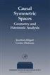 Causal Symmetric Spaces