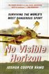 No Visible Horizon