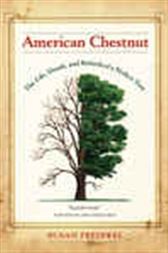 American Chestnut