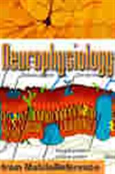 Neurophysiology Study Guide