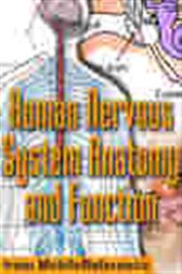 Human Nervous System Anatomy and Function Study Guide
