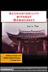 Accountability Without Democracy