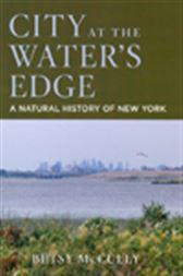 City at the Water's Edge