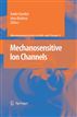 Mechanosensitive Ion Channels