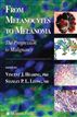 From Melanocytes to Melanoma