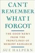 Can't Remember What I Forgot