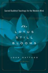 The Lotus Still Blooms