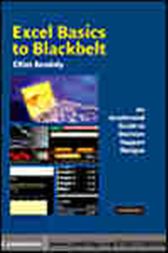 Excel Basics to Blackbelt