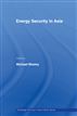 Energy Security in Asia