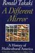 A Different Mirror