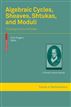 Algebraic Cycles, Sheaves, Shtukas, and Moduli