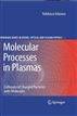 Molecular Processes in Plasmas