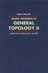 Recent Progress in General Topology II