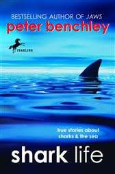 Shark Life