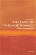 Four Laws That Drive the Universe