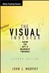 The Visual Investor