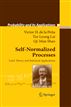 Self-Normalized Processes