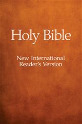 NIrV Discoverer's Bible for Early Readers, Revised Edition