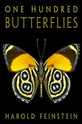 One Hundred Butterflies