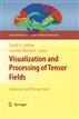 Visualization and Processing of Tensor Fields