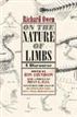 On the Nature of Limbs