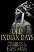 Old Indian Days