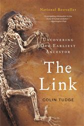 The Link