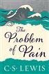 The Problem of Pain