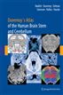 Duvernoy's Atlas of the Human Brain Stem and Cerebellum