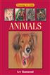 Drawing in Color - Animals