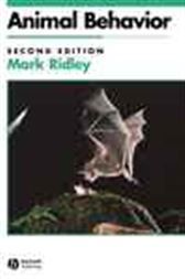 Animal Behavior