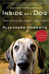 Inside of a Dog