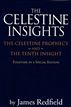 Celestine Insights - Limited Edition of Celestine Prophecy and Tenth Insight