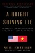 A Bright Shining Lie