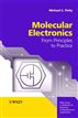 Molecular Electronics