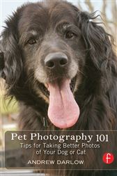 Pet Photography 101