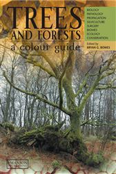 Trees & Forests
