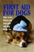 First Aid for Dogs