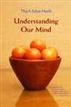 Understanding Our Mind