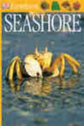 DK Eyewitness Books: Seashore