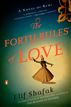 The Forty Rules of Love