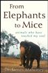 From Elephants to Mice