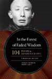 In the Forest of Faded Wisdom
