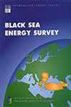 Black Sea Energy Survey