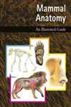 Mammal Anatomy