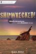 Shipwrecked!