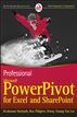 Professional Microsoft PowerPivot for Excel and SharePoint