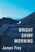 Bright Shiny Morning